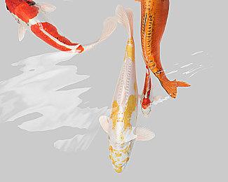 《新世界》免费周末活动将开启：进度保留 6折优惠